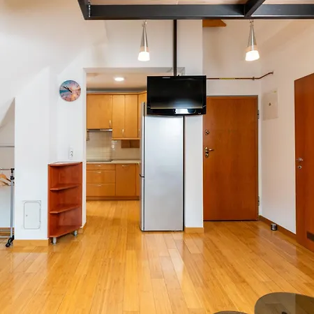 Apartma Igor בוהין