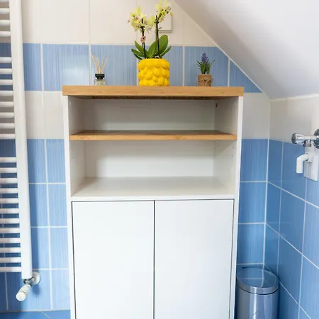 Apartma Igor דירה