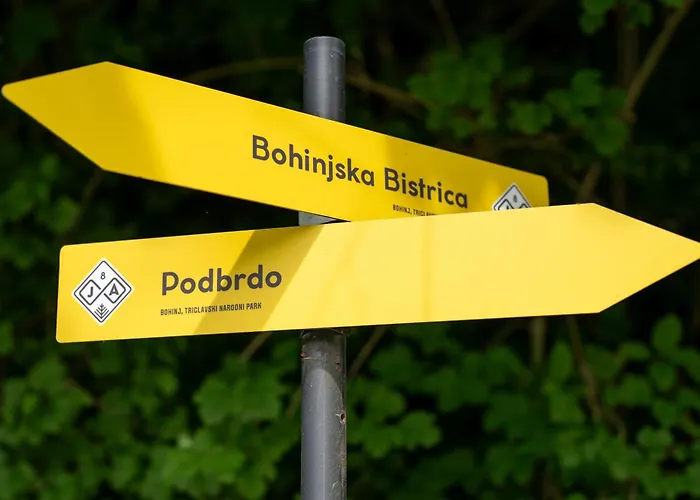 Apartma Igor Apartma Bohinj